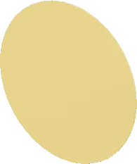 3D model of the Neewer 43" 5-in-1 Collapsible Reflector